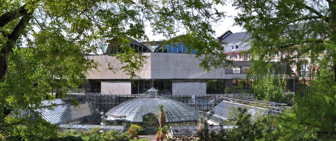 Slika Univerzitetne knjižnice Basel